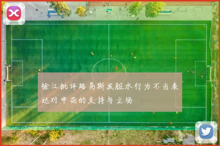 徐江批评路易斯泼脏水行为不当表达对申花的支持与立场
