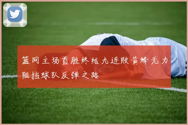 篮网主场首胜终结九连败黄蜂无力阻挡球队反弹之路