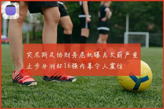 突尼斯足协财务危机曝光欠薪严重止步非洲杯16强内幕令人震惊
