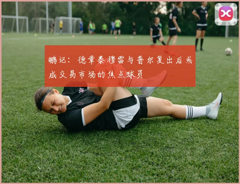 鹕记：德章泰穆雷与普尔复出后或成交易市场的焦点球员