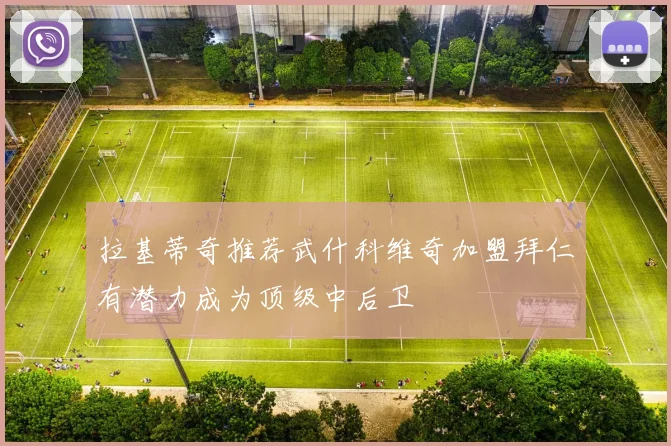 拉基蒂奇推荐武什科维奇加盟拜仁有潜力成为顶级中后卫