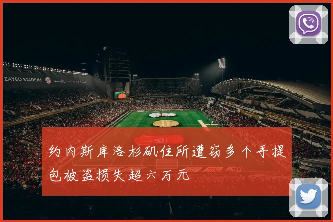 约内斯库洛杉矶住所遭窃多个手提包被盗损失超六万元