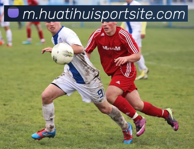 华体会体育服务体系