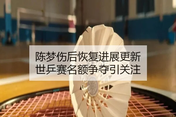 陈梦伤后恢复进展更新 世乒赛名额争夺引关注(hth)